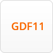 GDF11